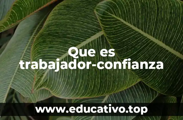 Que es trabajador-confianza