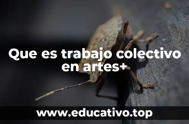 Que es trabajo colectivo en artes+