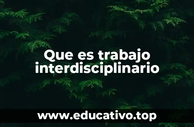 Que es trabajo interdisciplinario