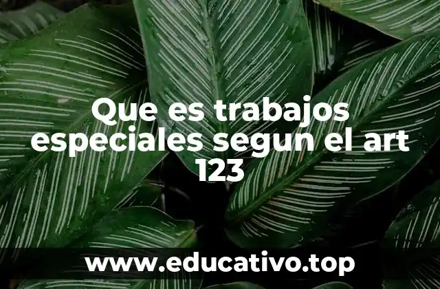 Que es trabajos especiales segun el art 123