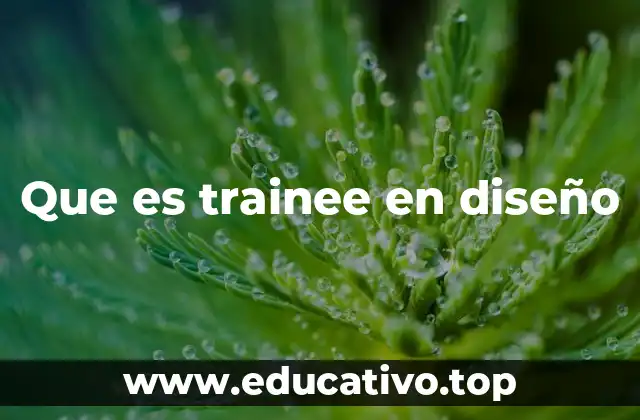 Que es trainee en diseño
