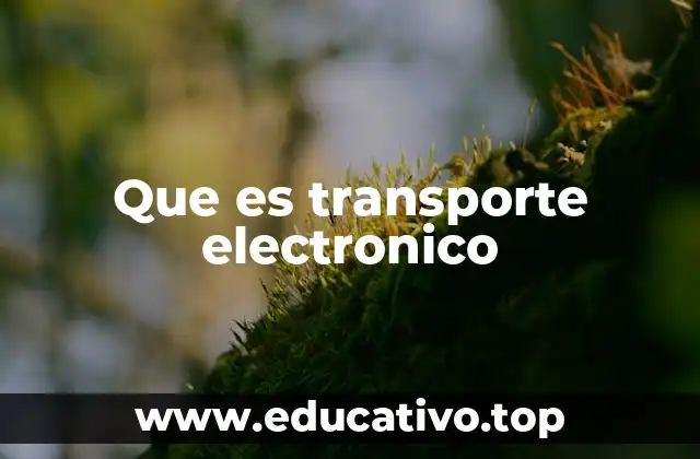 La base física del transporte de cargas en materiales