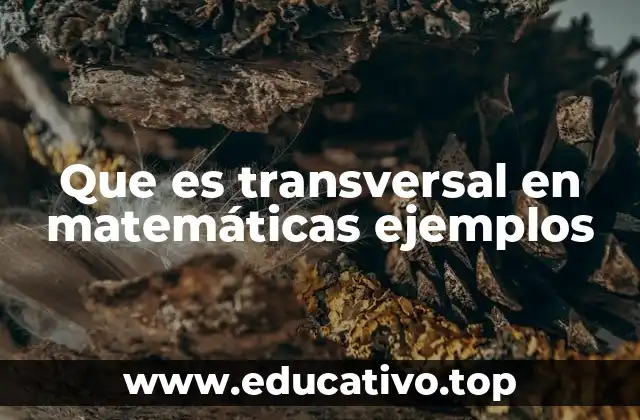 Que es transversal en matemáticas ejemplos