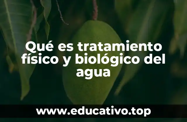 Qué es tratamiento físico y biológico del agua