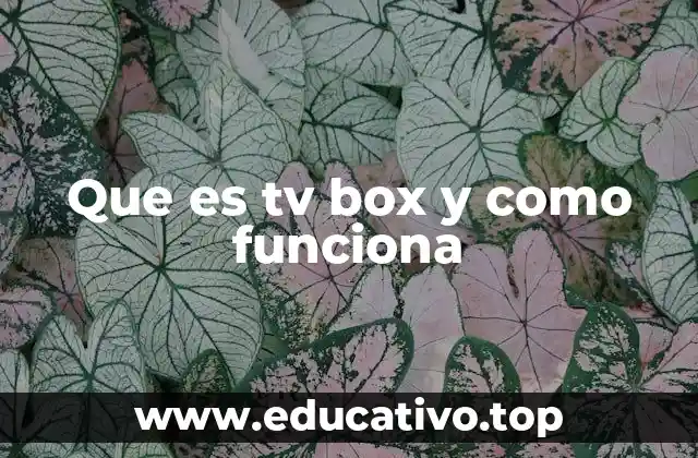 ¿Cómo se diferencia un TV Box de una TV inteligente?
