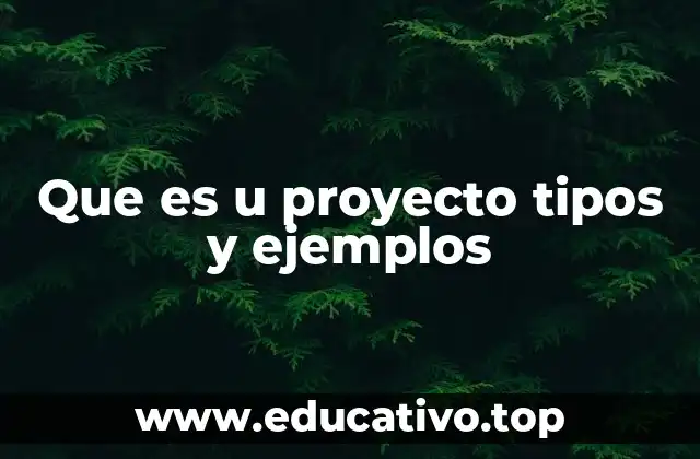 Que es u proyecto tipos y ejemplos