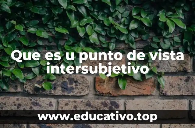 Que es u punto de vista intersubjetivo