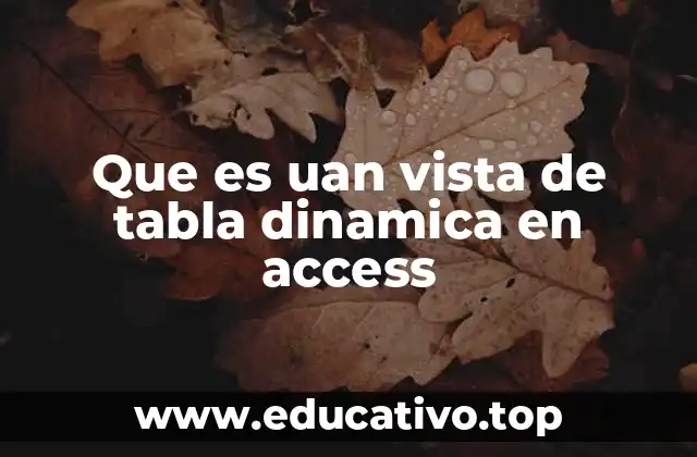 Que es uan vista de tabla dinamica en access