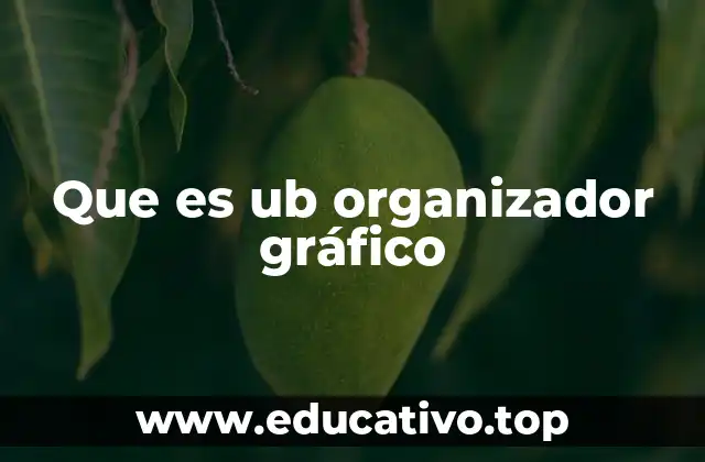 Que es ub organizador gráfico