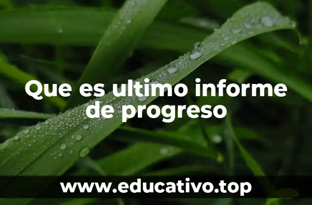 Que es ultimo informe de progreso