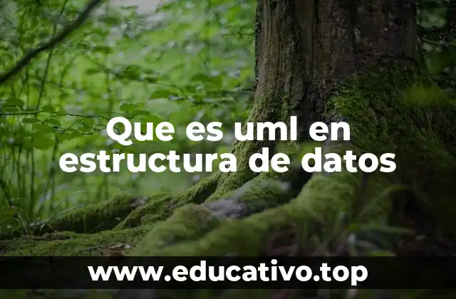Modelado visual de sistemas y estructuras de datos