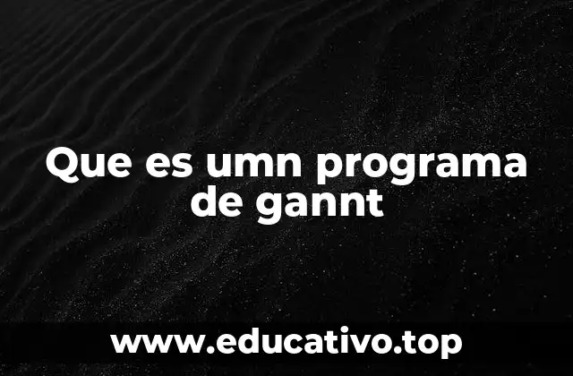 Que es umn programa de gannt