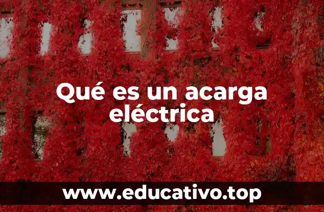 Qué es un acarga eléctrica