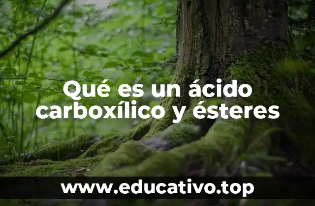 Qué es un ácido carboxílico y ésteres