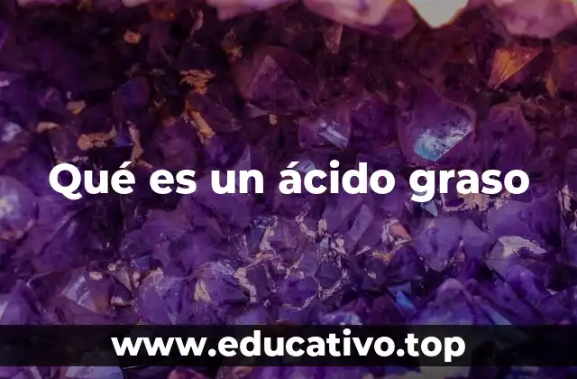 Qué es un ácido graso