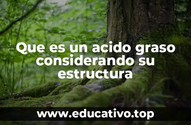 Que es un acido graso considerando su estructura