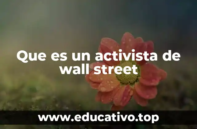 Que es un activista de wall street
