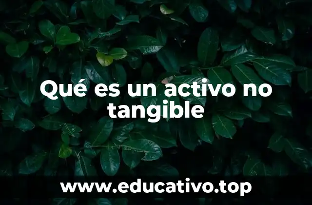 Qué es un activo no tangible