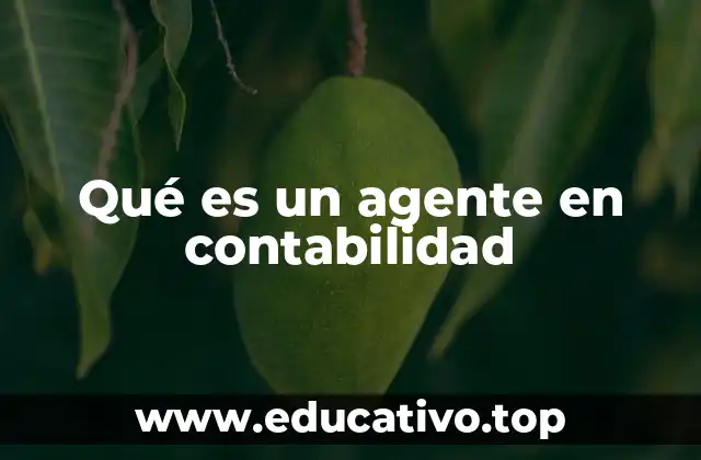 Qué es un agente en contabilidad
