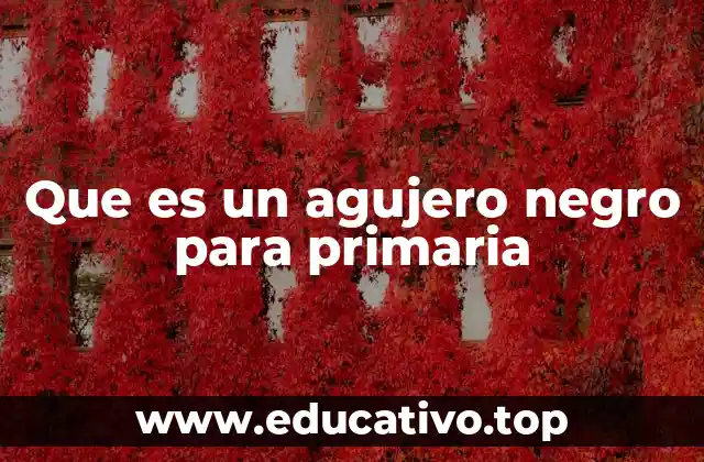 Que es un agujero negro para primaria