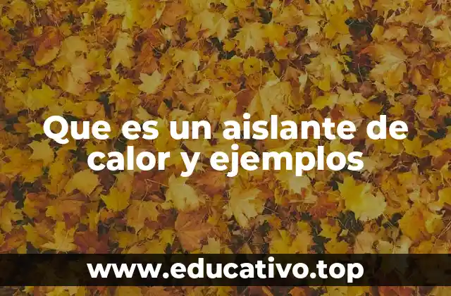 Que es un aislante de calor y ejemplos