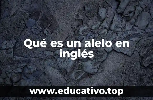 Qué es un alelo en inglés
