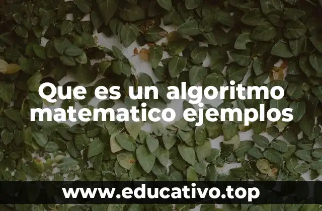 El papel de los algoritmos en la resolución de problemas matemáticos