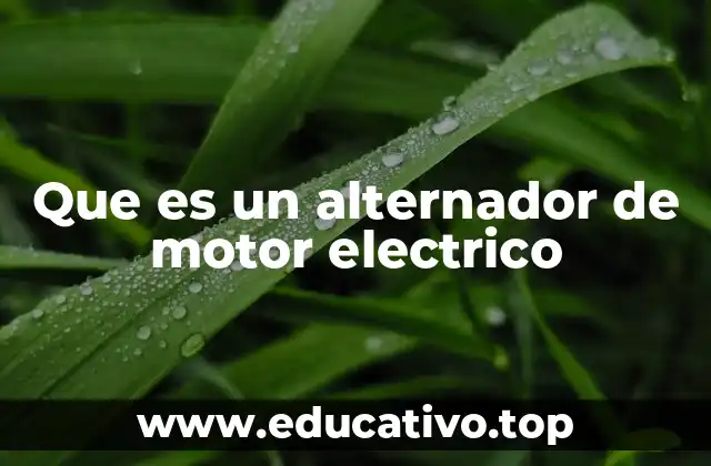 Que es un alternador de motor electrico