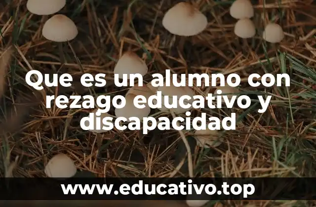Que es un alumno con rezago educativo y discapacidad