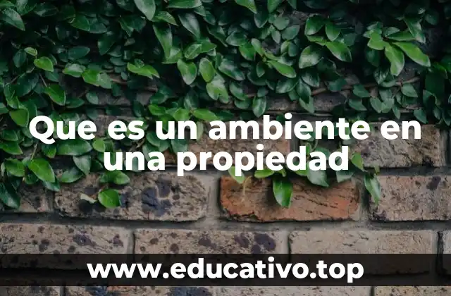Que es un ambiente en una propiedad