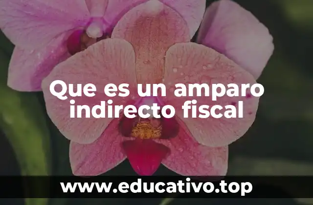 Que es un amparo indirecto fiscal