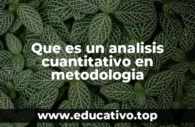 La importancia de los datos numéricos en la investigación