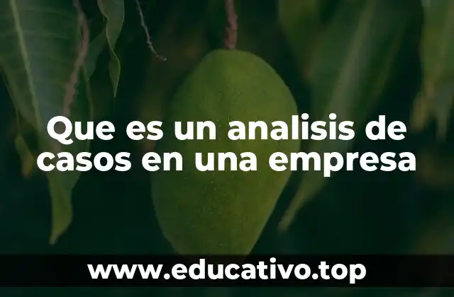 Que es un analisis de casos en una empresa