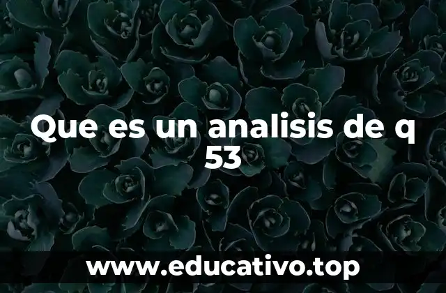 Que es un analisis de q 53