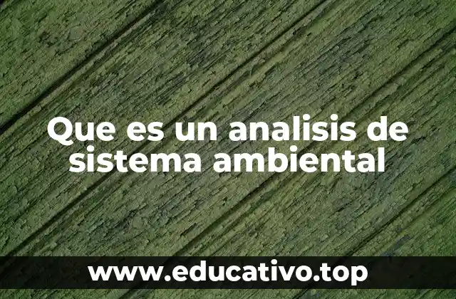Que es un analisis de sistema ambiental