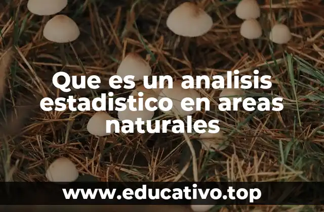Que es un analisis estadistico en areas naturales