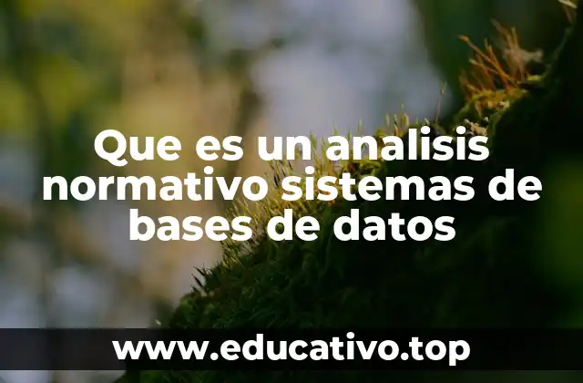 Que es un analisis normativo sistemas de bases de datos