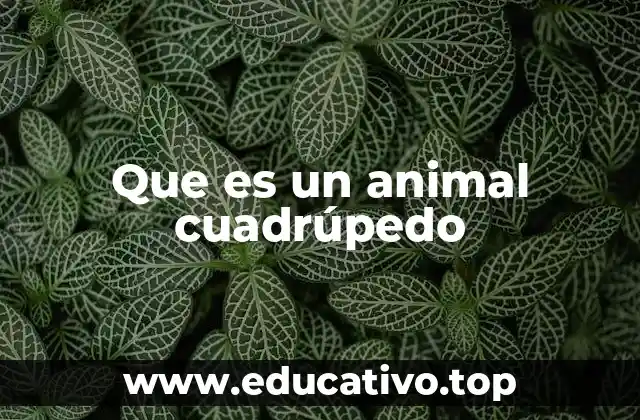Que es un animal cuadrúpedo