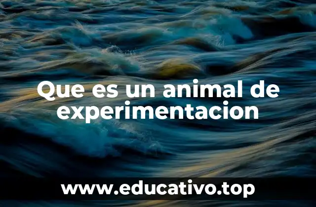 Que es un animal de experimentacion