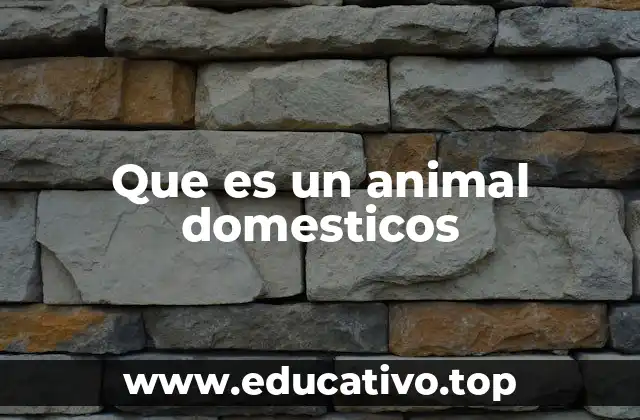 Que es un animal domesticos