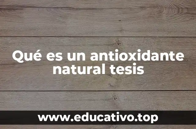 Qué es un antioxidante natural tesis
