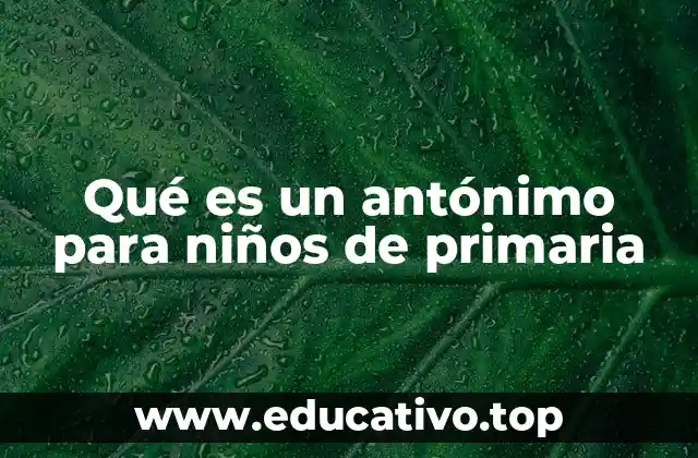 Qué es un antónimo para niños de primaria