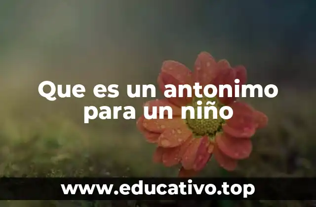 Que es un antonimo para un niño