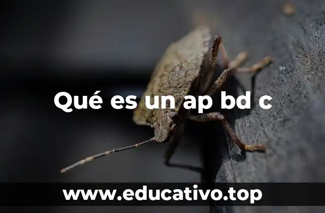 Qué es un ap bd c