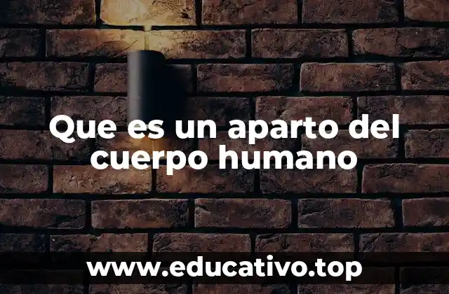 La organización funcional del cuerpo humano
