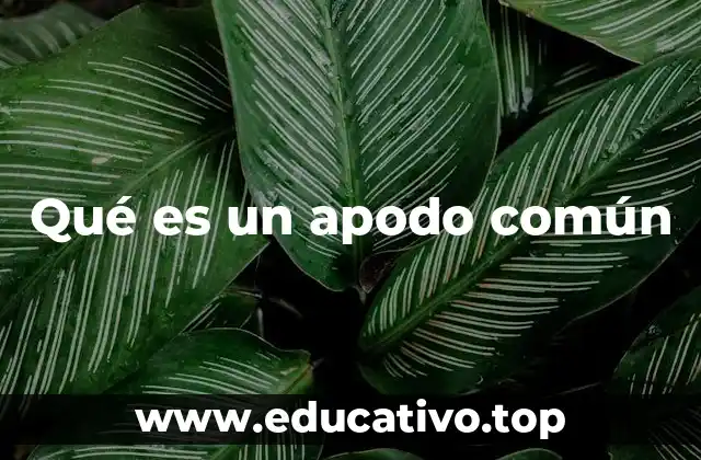 Qué es un apodo común