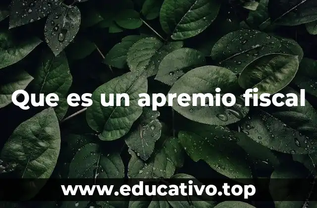 Procedimiento del apremio fiscal