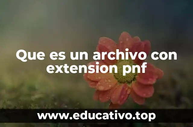 Que es un archivo con extension pnf
