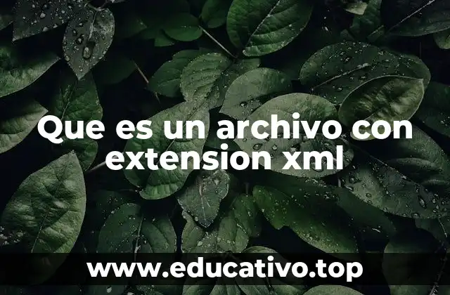 Que es un archivo con extension xml