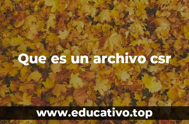 Que es un archivo csr